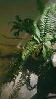 https://images.plurk.com/2dUWzMelBRLemCCfixMh2v.jpg