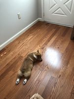 https://images.plurk.com/2dUqqtvZculEybg4WlO3.jpg