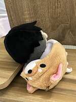 https://images.plurk.com/2dXVYbfeY9eG5QXsDkrhi2.jpg