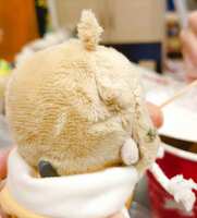 https://images.plurk.com/2de5oHzJhqtBEjbCGXqr3s.png