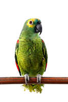 https://images.plurk.com/2dhWmcSQwfwYgavFkc3USE.jpg