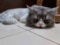 https://images.plurk.com/2dmFuxLGVvh7GTcoSpZzQs.jpg