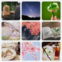 https://images.plurk.com/2eJSscpa86W43nIaOlQ1Bb.png