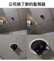 https://images.plurk.com/2eNEF7tKsF17gSfDLA2UFd.jpg