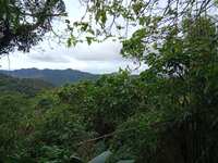 https://images.plurk.com/2eQeeQbMiubQK9H7ou8Bcv.jpg