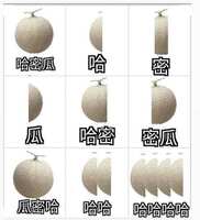 https://images.plurk.com/2eS4znjv0jNa6wDLdmLtdH.jpg