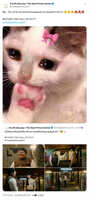 https://images.plurk.com/2eSY0cnIyJlj7esJNTp8ss.jpg
