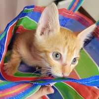 https://images.plurk.com/2eWCKFeLoQVlCF6k1Gtod7.jpg