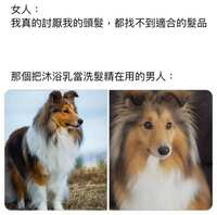 https://images.plurk.com/2ed5aEfw0XZIn7j4VBJDaM.jpg