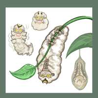 https://images.plurk.com/2eeCMdLXCHmuI1jxrVBXiQ.jpg