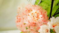 https://images.plurk.com/2ekJybMRPMucBocjcPZcVB.jpg
