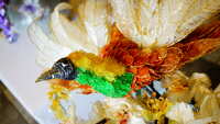 https://images.plurk.com/2en1gl0R7zKc9xJ9oXjwVw.jpg