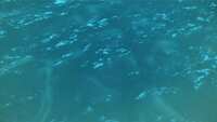 https://images.plurk.com/2eot5odXMyFd2Wd0RDIV8j.jpg