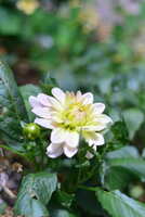 https://images.plurk.com/2ep1XCCdmDAjOIKujjgaxH.jpg