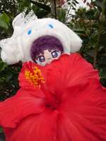 https://images.plurk.com/2ep4dRIZJU97w3Ps6I8LPZ.jpg