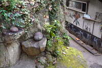 https://images.plurk.com/2exp8Ds6CbdaQLqXNkPPSM.jpg