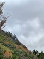 https://images.plurk.com/2f0UPyF68sBSQuqhUY34iu.jpg
