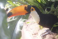 https://images.plurk.com/2f1Np4gQdQDjUoL68oLWah.jpg