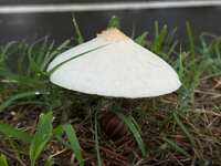 https://images.plurk.com/2f9WSAtBhGtj3eJKnJh7jL.jpg