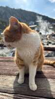 https://images.plurk.com/2fDKYXWpBHcyc2vHKAo9t7.jpg