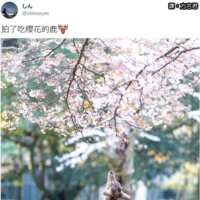 https://images.plurk.com/2fMKA92es2P0QVPnMwb7R5.png