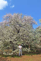 https://images.plurk.com/2fQJA4ML7PBGJSn7hwArDO.jpg