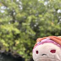 https://images.plurk.com/2fULbrOB7pP90LBkZRF5fN.jpg