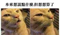 https://images.plurk.com/2fYXGQtGB5TqkHN6yiZubc.png