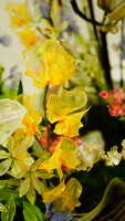 https://images.plurk.com/2fZWycpIkWG6A2DvvBKfqf.jpg