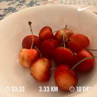 https://images.plurk.com/2faUJQg1n7vW6uB0Iro7Ek.jpg