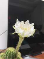 https://images.plurk.com/2fhNLXlaBayLHiLw8tej0n.jpg