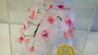 https://images.plurk.com/2fi35rFOw58hpZRQTbRsDb.jpg