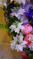 https://images.plurk.com/2fjz8aTnnyoAGCpmnkbSfk.jpg