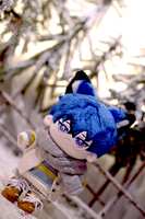 https://images.plurk.com/2fkmb8RGQyS9JRJ3tXxGKf.jpg