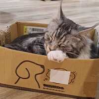 https://images.plurk.com/2foXtDx27KqmBRfWziBNbQ.jpg