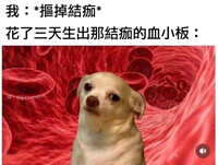 https://images.plurk.com/2fw3sgohzXzjYecOfVv6Dk.jpg