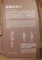 https://images.plurk.com/2fzhFn6x6E7HZkh8LyUumK.jpg