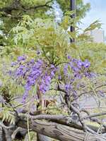 https://images.plurk.com/2g1m9NQnZ42cpclHBnEqkl.jpg