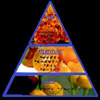 https://images.plurk.com/2g32UutgcriwR4oEluYZUr.png