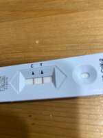 https://images.plurk.com/2g9llTOyZFkDzWhBX3WZO6.jpg
