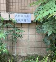 https://images.plurk.com/2gHKUFIbKJEXtrH04uggvZ.jpg