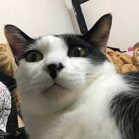 https://images.plurk.com/2gUY0wnx9ABTJuKU8bVqo0.jpg