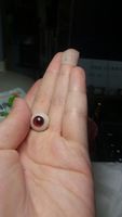 https://images.plurk.com/2go2n8ZKWXppQEZAGmS0Vj.jpg