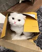https://images.plurk.com/2gtuD4KHIcvd2BMHtCf2oA.jpg