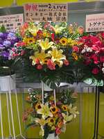 https://images.plurk.com/2guAsJHlz4poxmqblM8qF0.jpg