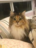https://images.plurk.com/2guIku694ZwhnmrS5eW0JH.jpg