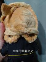 https://images.plurk.com/2gydI50m8esYx479WsJtr1.jpg