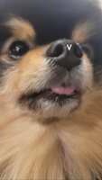https://images.plurk.com/2h0HRp1Fd0Q5VrTPIZwMjS.jpg