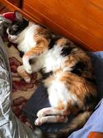 https://images.plurk.com/2h3dIMJFFLZx34VBUhopR8.jpg