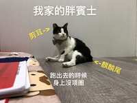 https://images.plurk.com/2h57MsssZ5aWljaDTnEatB.jpg